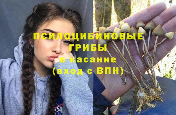 PSILOCYBIN Заволжск
