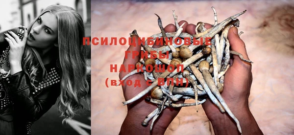 PSILOCYBIN Заволжск