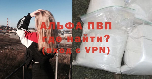 PSILOCYBIN Заволжск